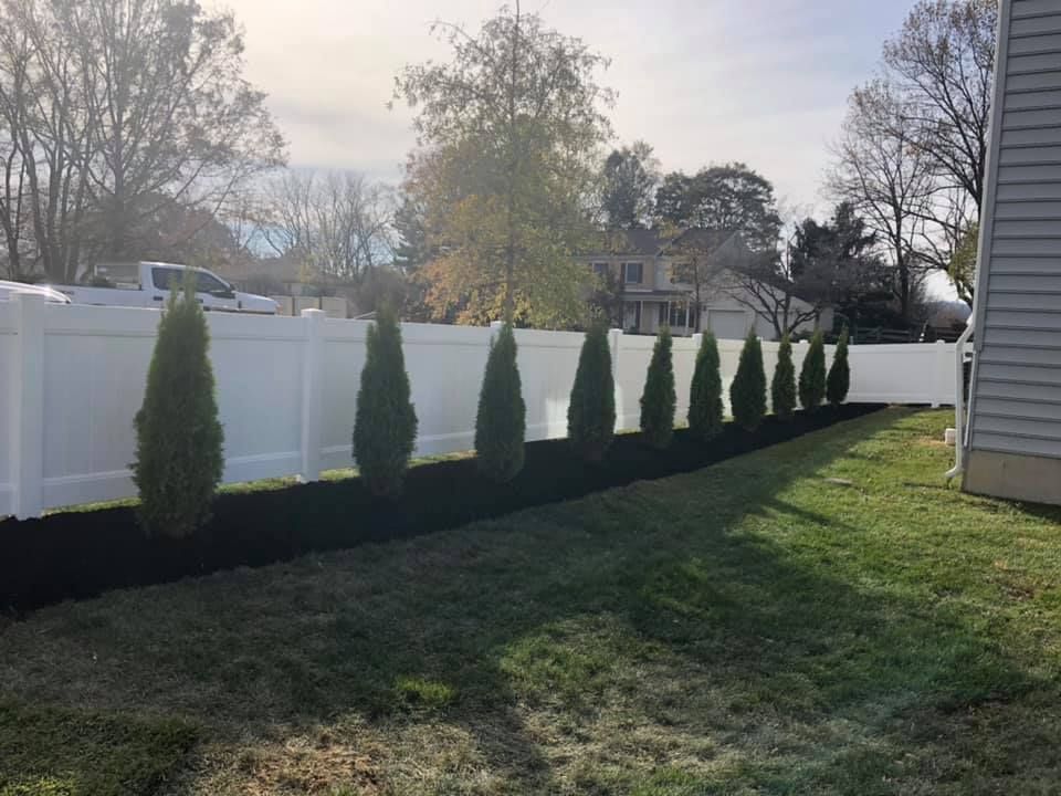A white fence with a row of trees in front of it.