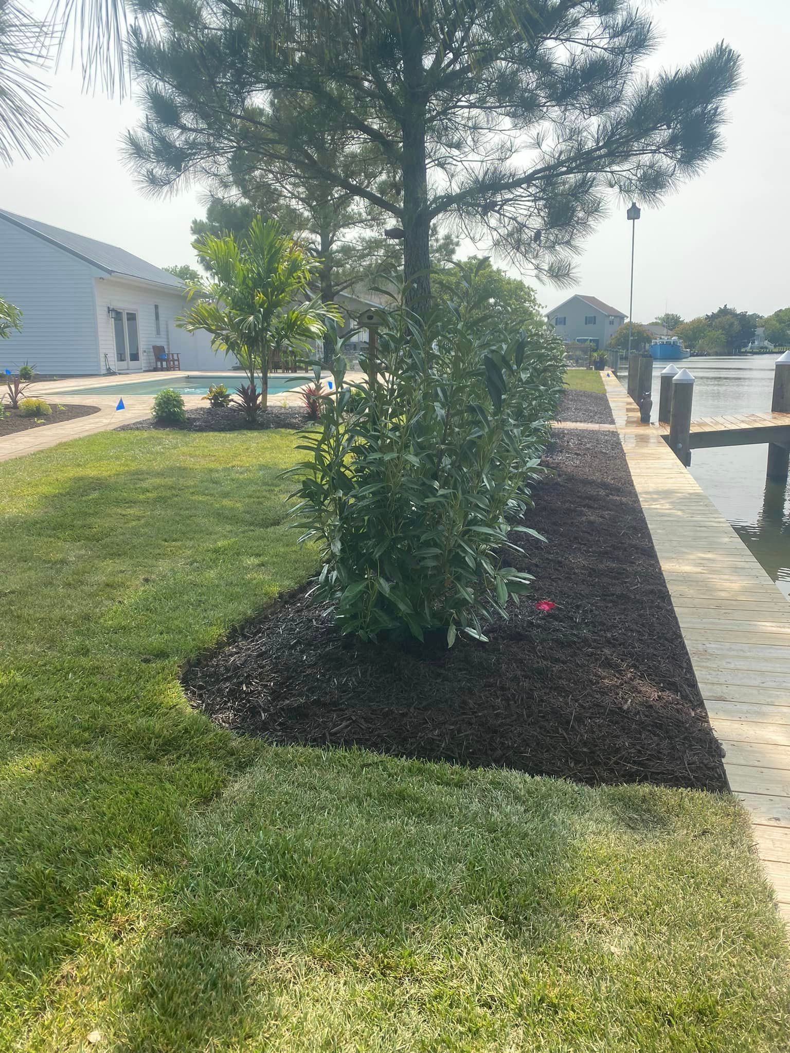 A lawn with a tree and a dock next to a body of water.