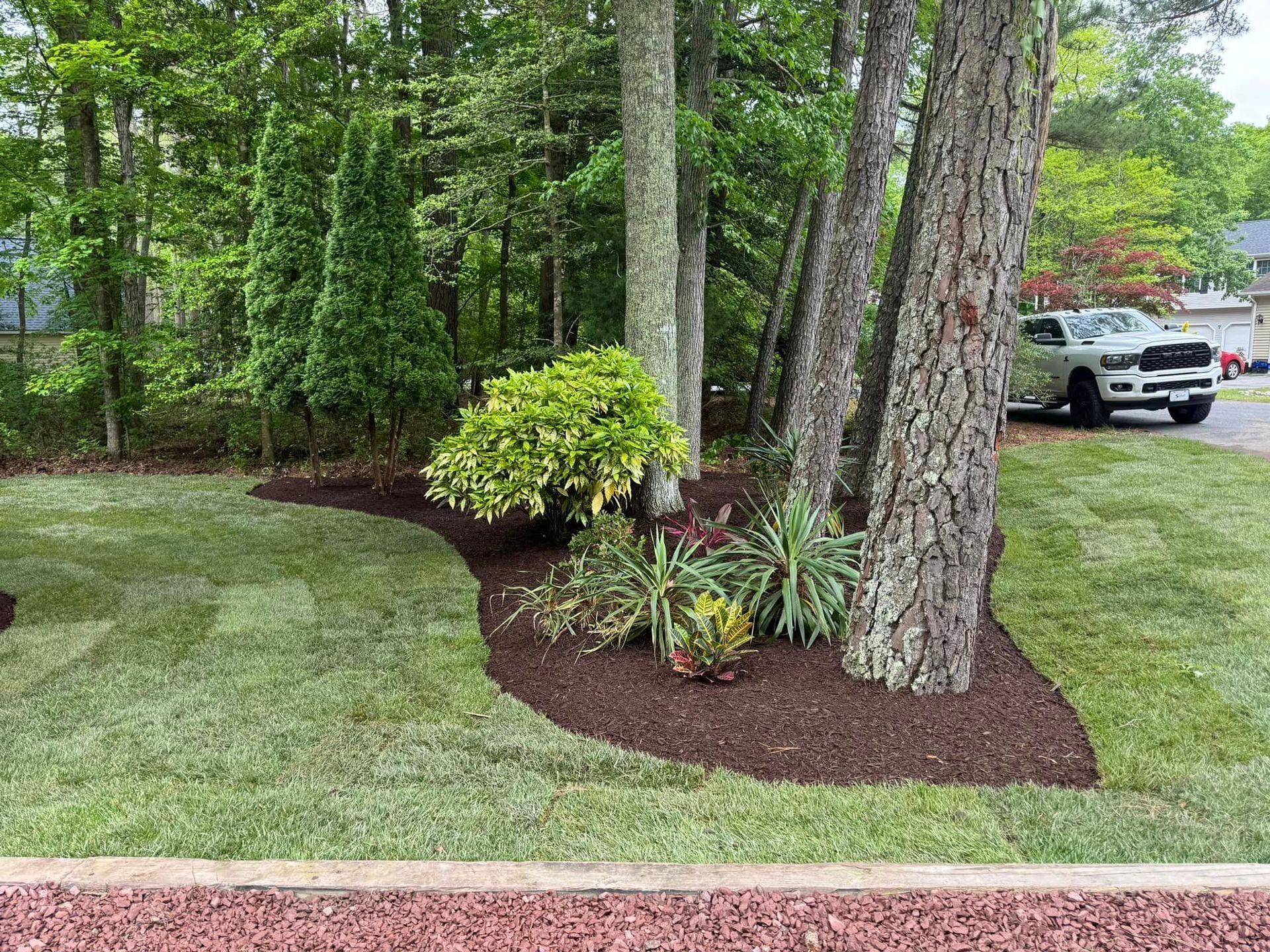 A truck is parked in a driveway next to a tree.