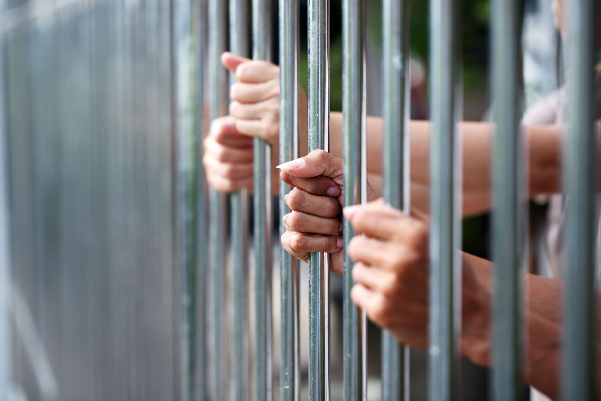 bail bond agency
