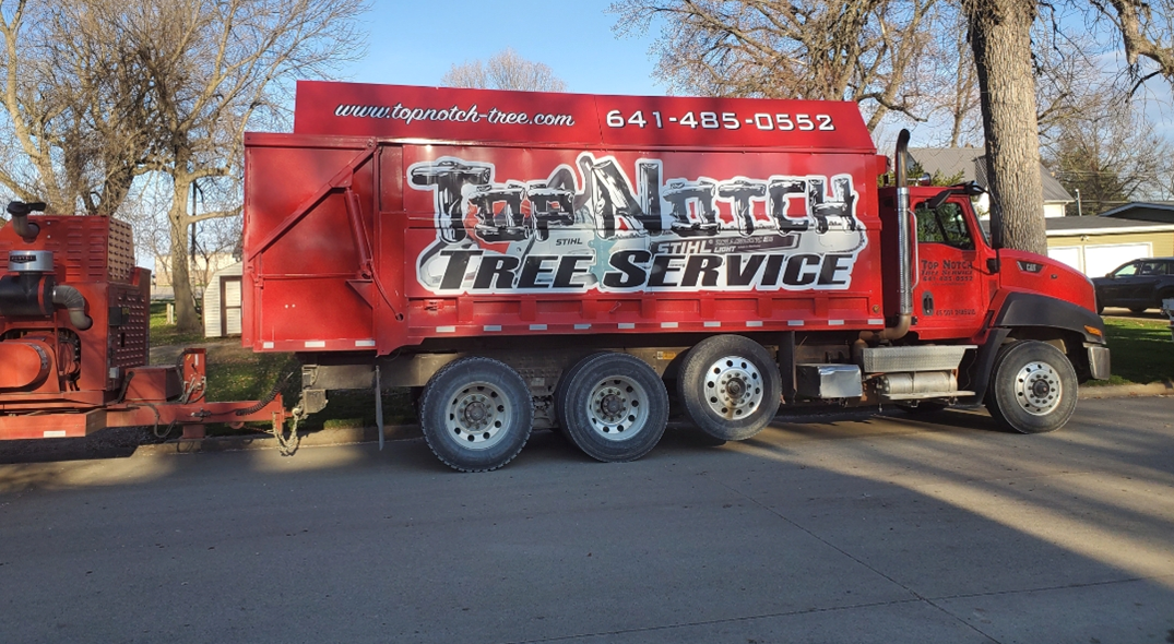 Project Gallery Top Notch Tree Service Inc