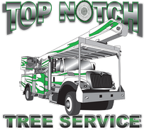 Top Notch Tree Service Inc-Logo