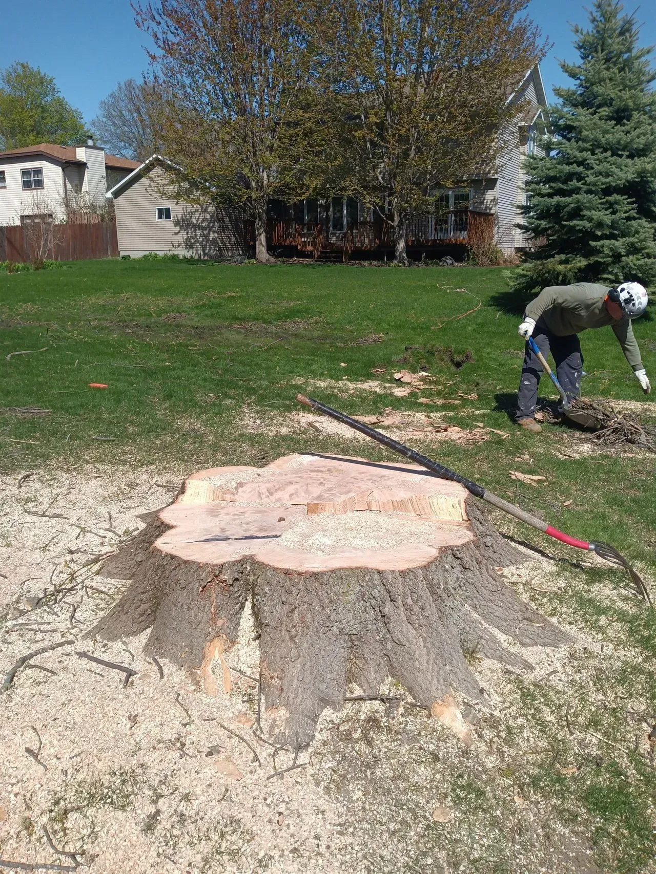 Man near tree stump in a yard; sawdust on the ground. Houses and trees in background.