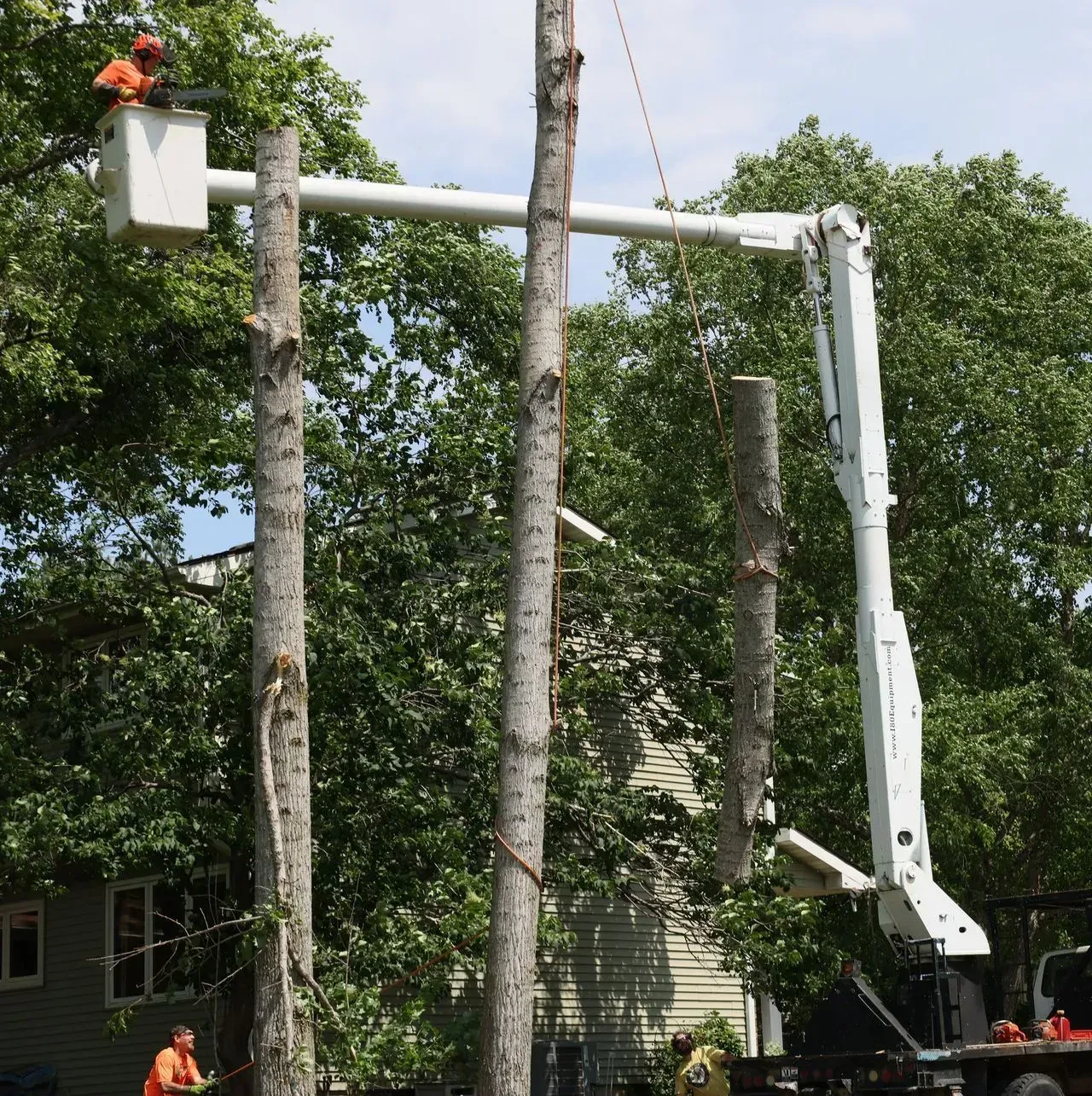 Tree service worker in a bucket lift cutting a tree, suspended log. Another worker on the ground.