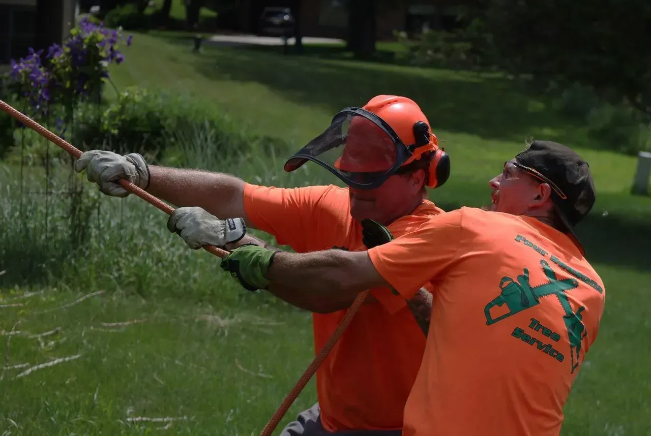 Two people in orange shirts pulling on a rope in a grassy area. One wears a face shield.