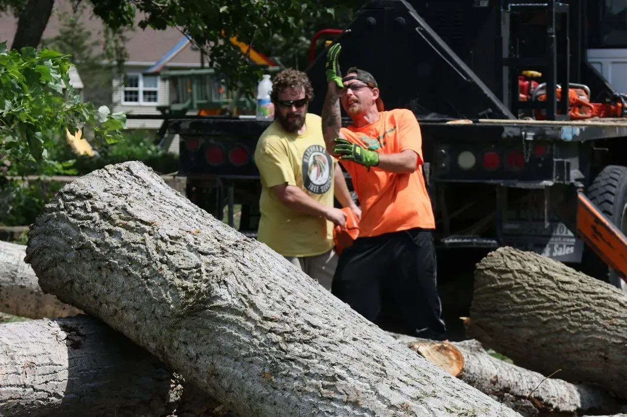 Two men with a chainsaw, cutting logs outdoors. One in orange, one in yellow.