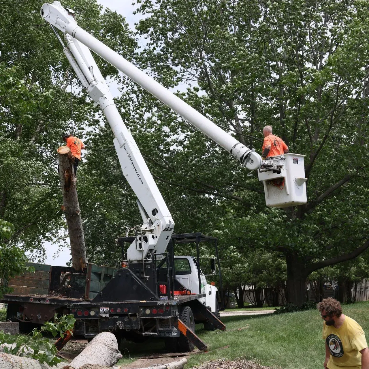 Man in cherry picker trims tree; truck, log, person on ground, residential setting.