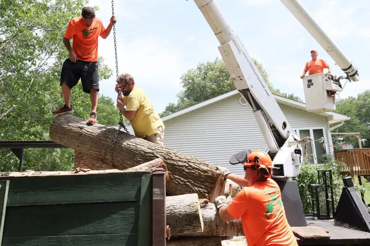 Tree removal crew loading a large log into a truck bed with a crane on a sunny day.