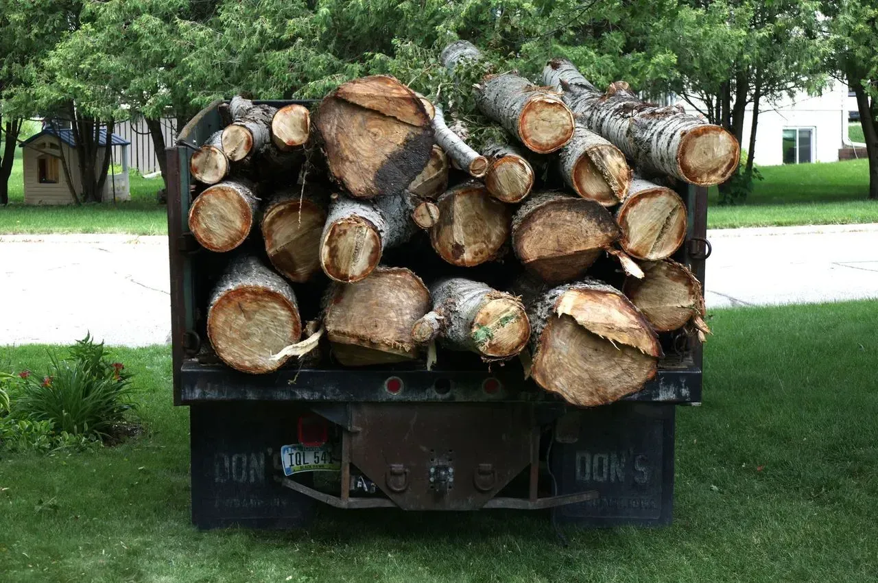 Truck bed filled with cut logs, outside in front of a green lawn and trees.