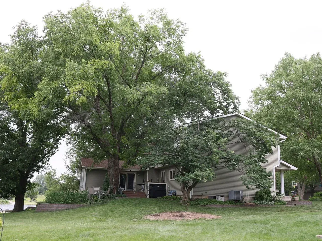 House with a large tree growing close to it, surrounded by other trees and a green lawn. Overcast sky.