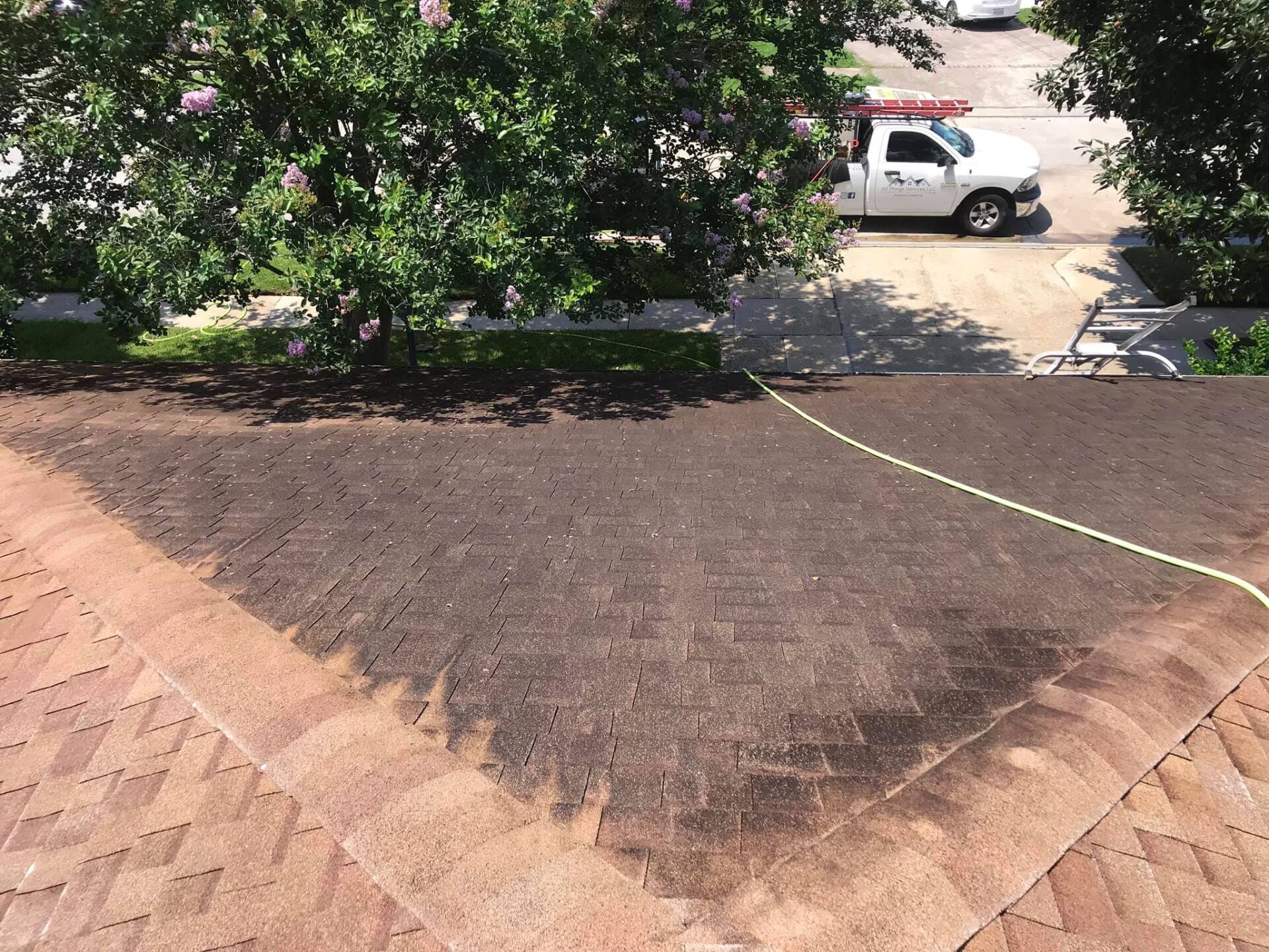 Before roof cleaning