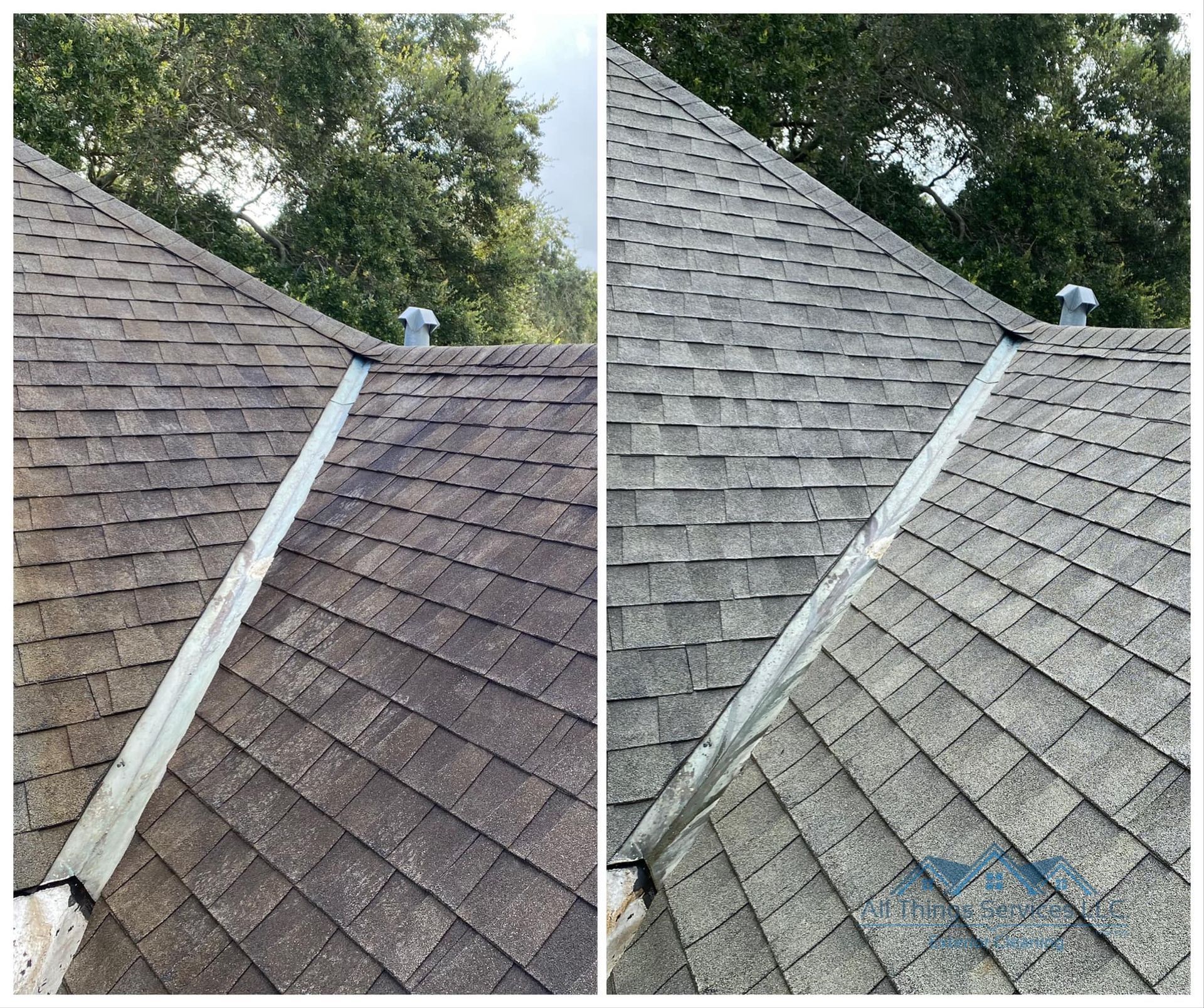 Roof cleaning