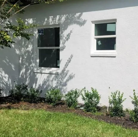White stucco house wall with two windows, shrubs, and a green lawn in sunlight