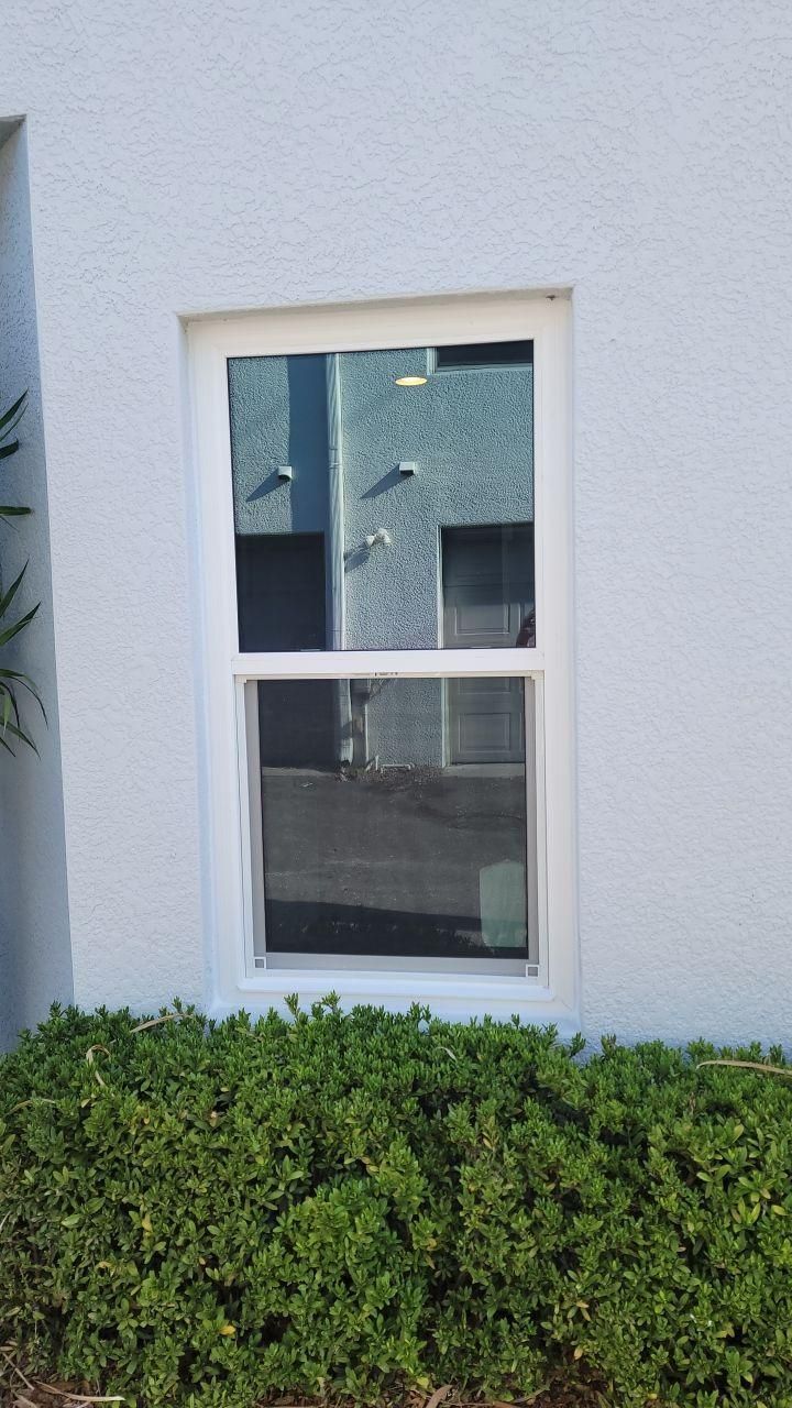 Small white-framed window on a light wall above green shrubs