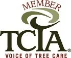 Member TCIA