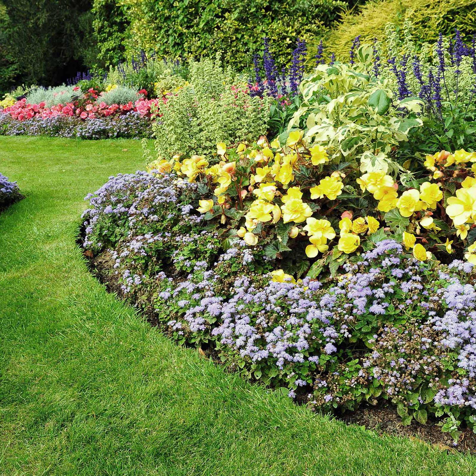 Beautiful landscape design