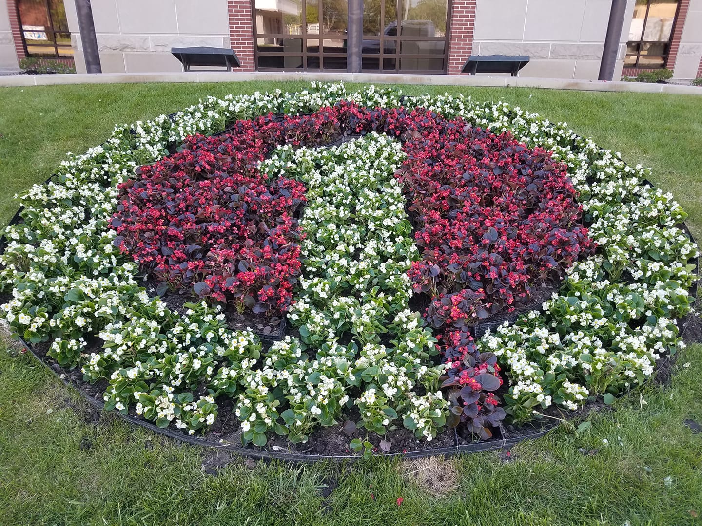 Landscaping projects