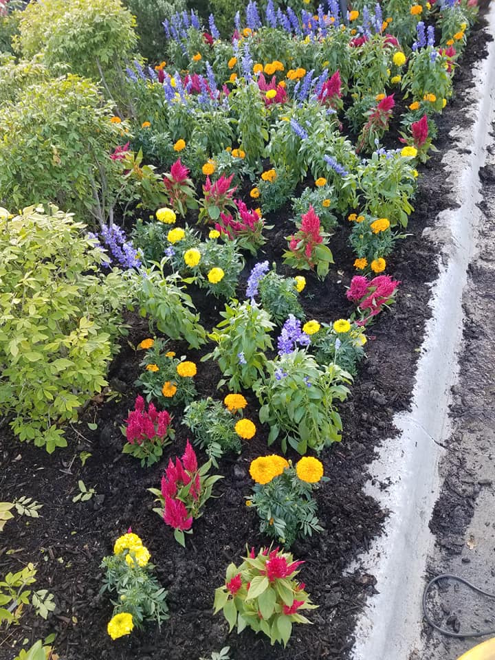 Landscaping projects