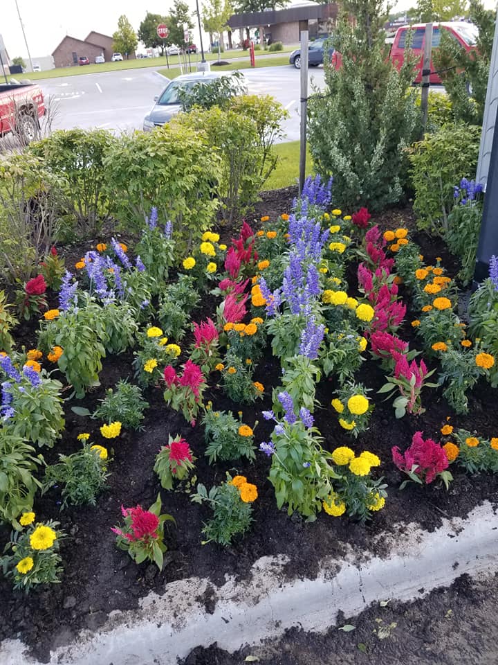 Landscaping projects