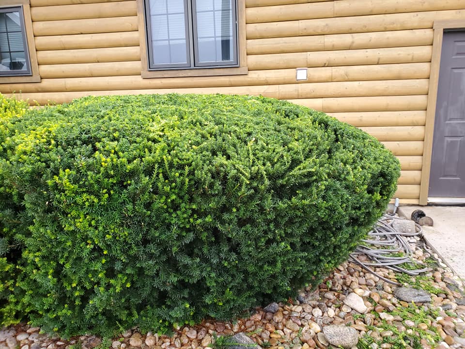 Landscaping projects