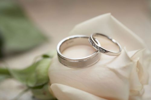Two silver wedding rings on a white rose petal with a soft green background