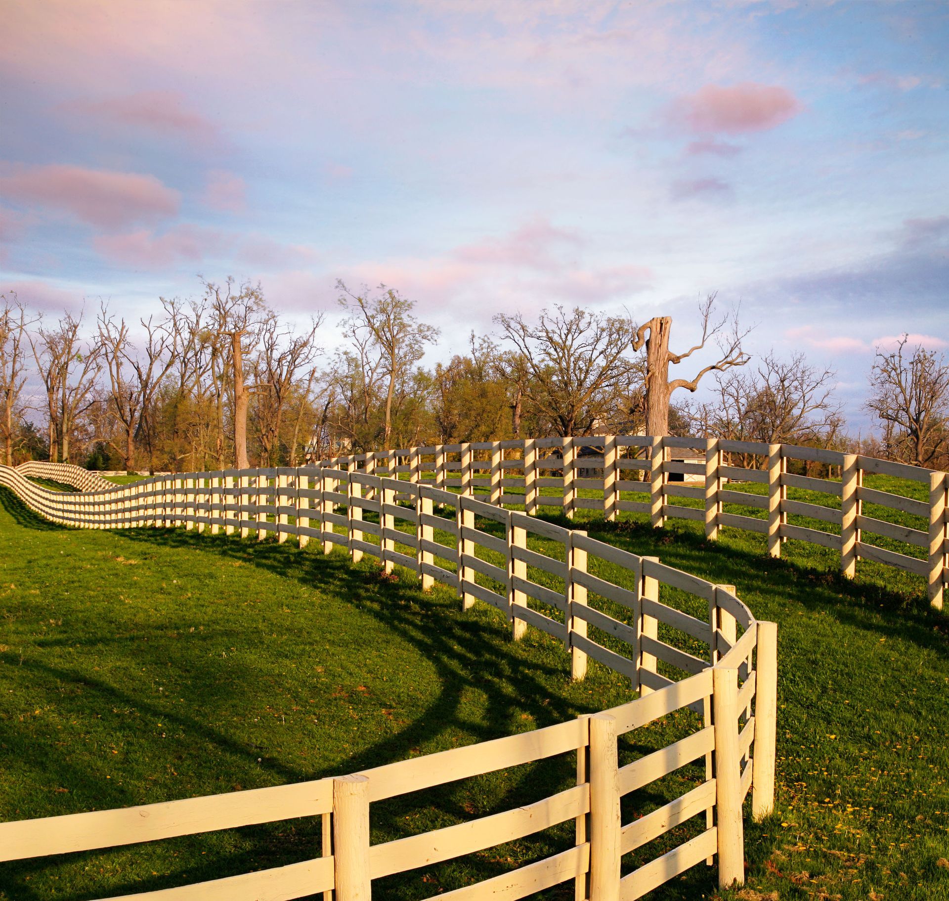 White fence curves across a green grassy field under a pastel sky.