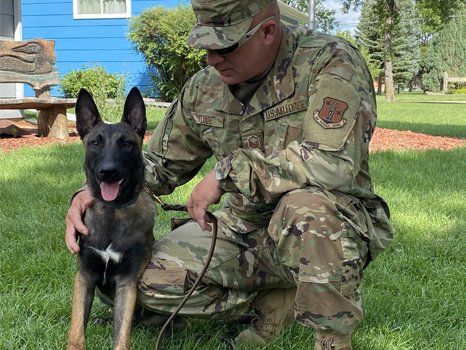 wondercide geranium shampoo bar