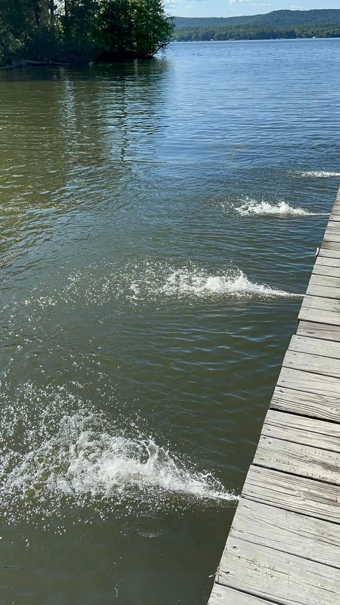 Lake water with splashes beside a wooden dock on a sunny day