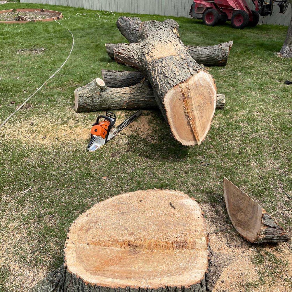 A chainsaw is sitting on top of a tree stump.