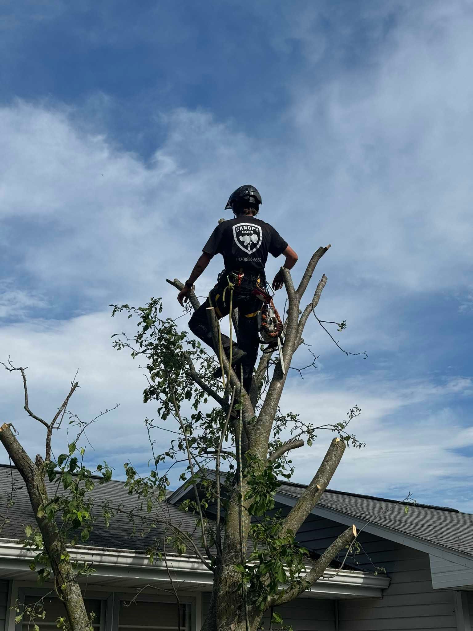 A man is standing on top of a tree in front of a house.