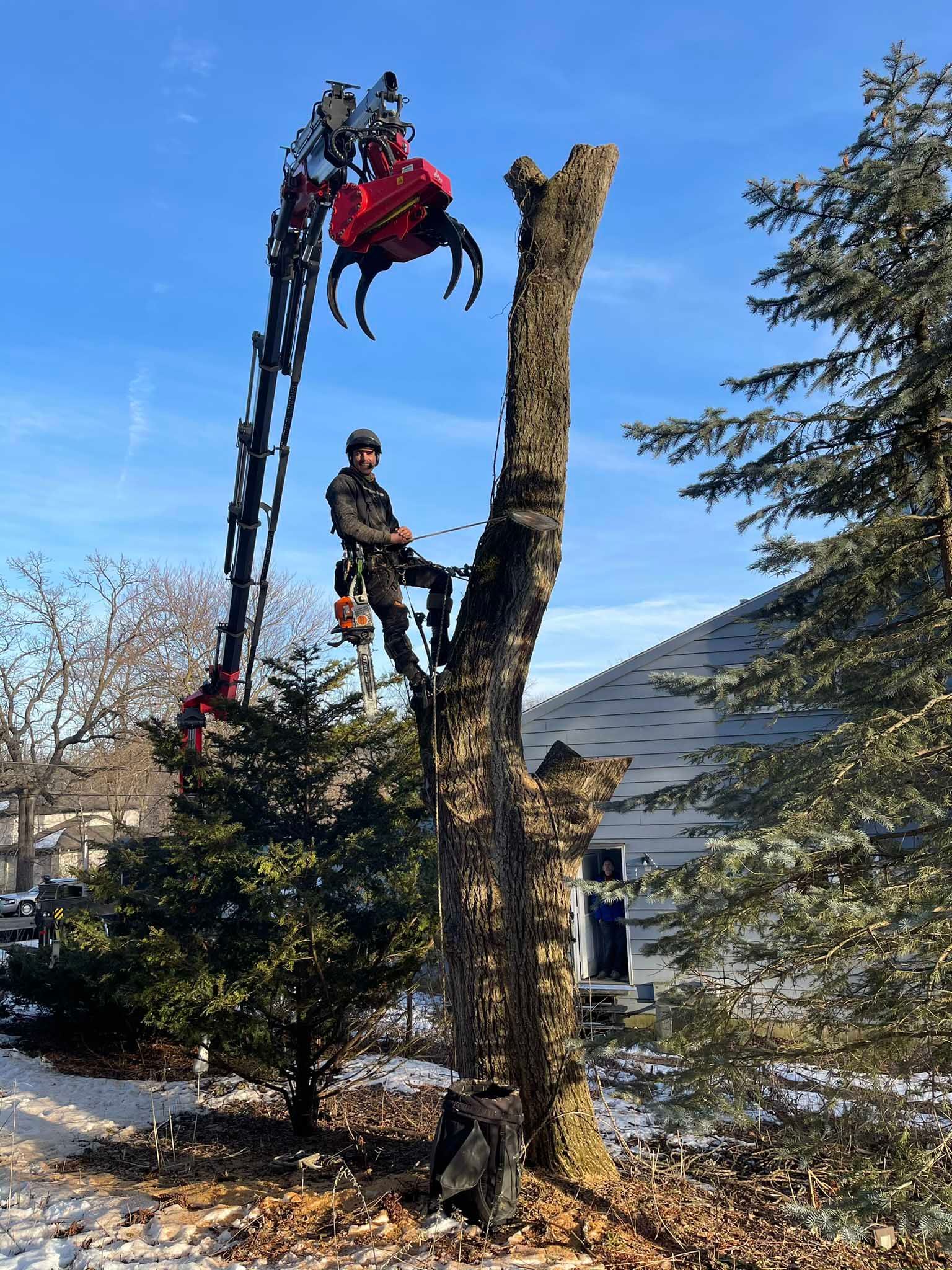 A man is climbing a tree with a crane attached to it.