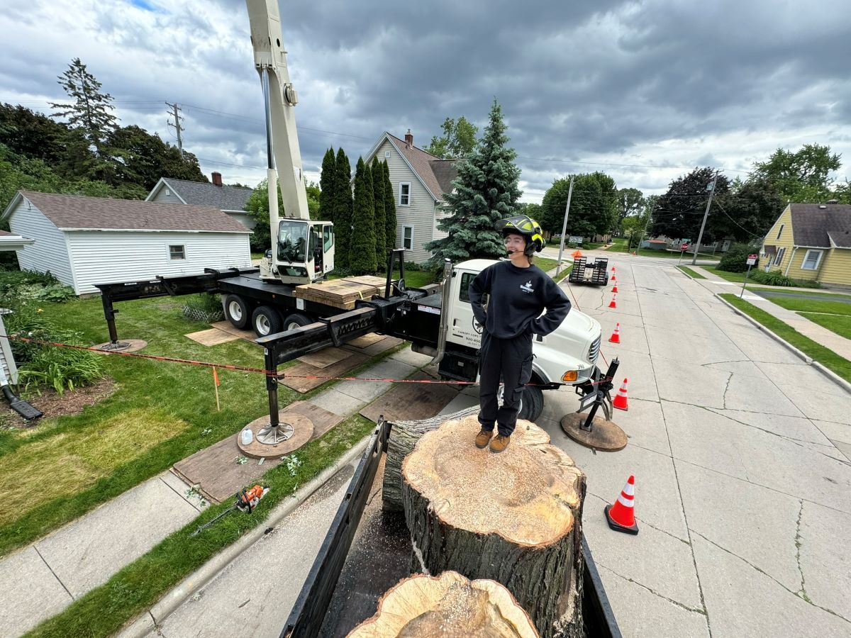A man is standing on top of a tree stump next to a truck.