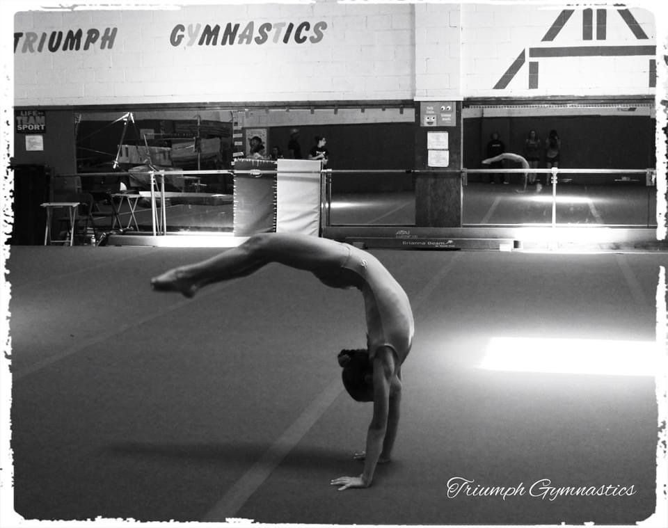 Gymnastics Programs
