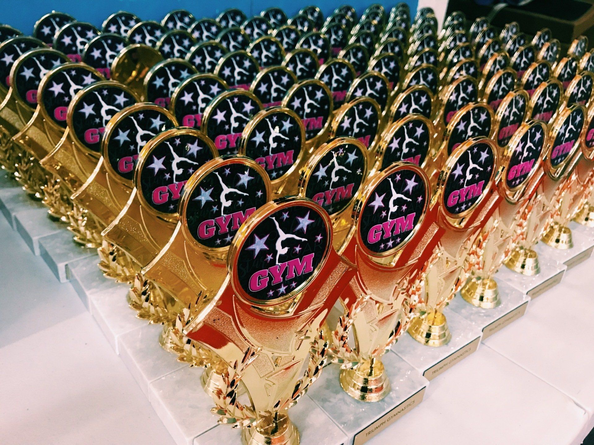 Gymnastics trophies