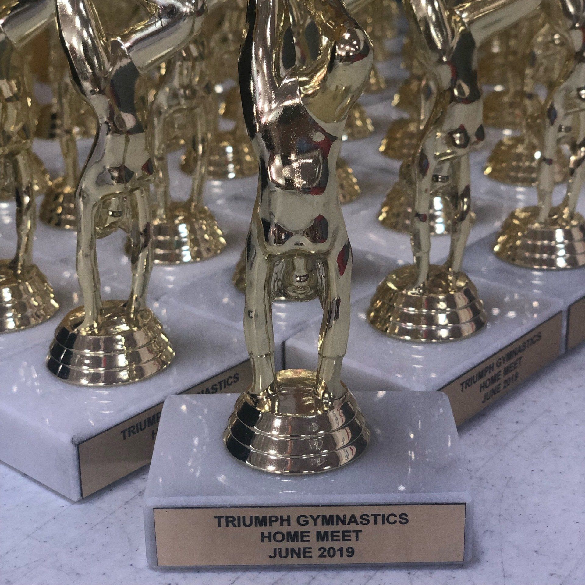 triumph trophies