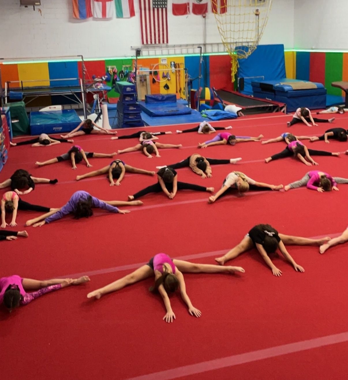 A group of girls is doing stretching exercises on the floor
