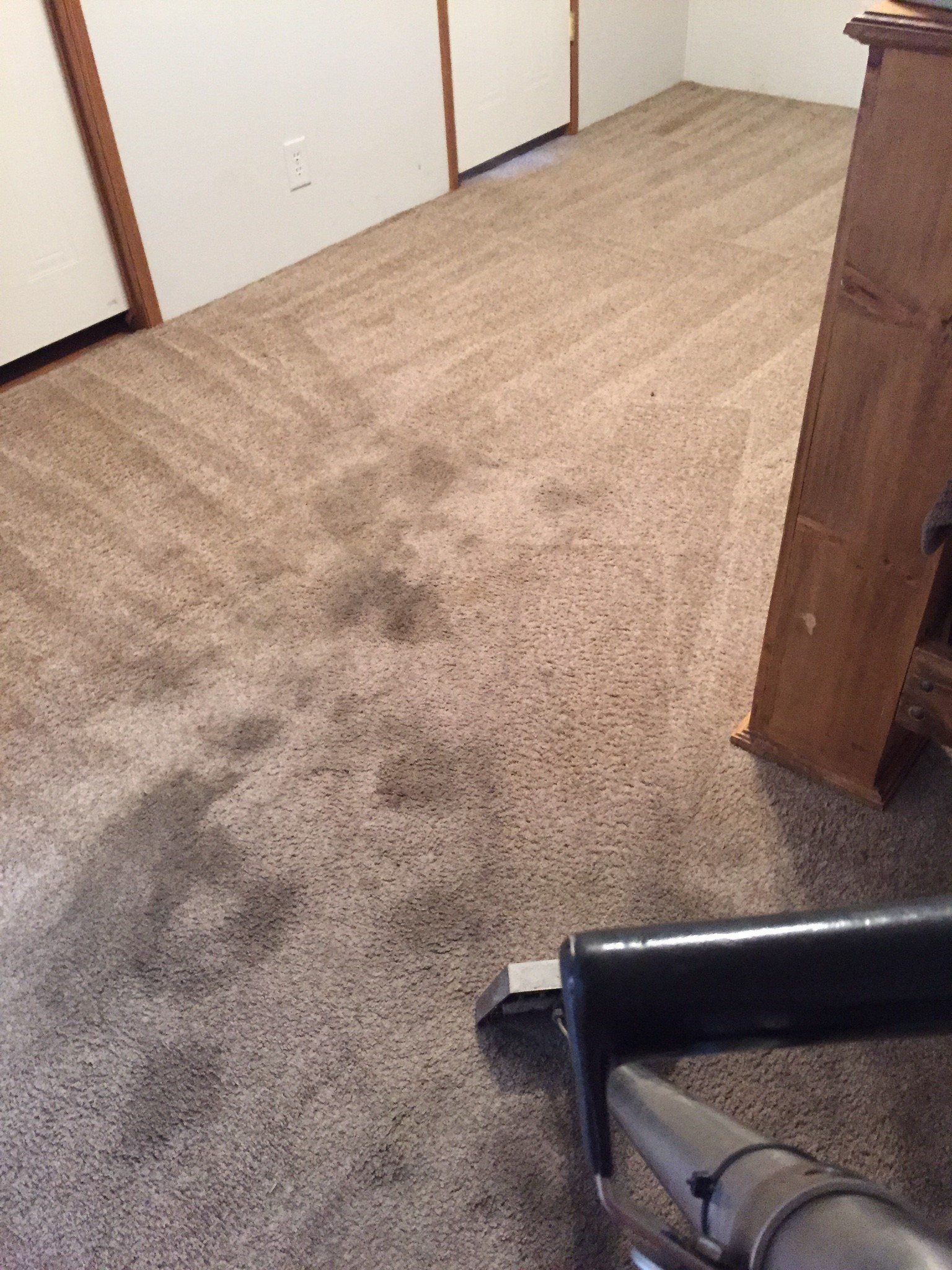 Carpet Cleaning Services Carpet Cleaning Professionals Commerce, TX