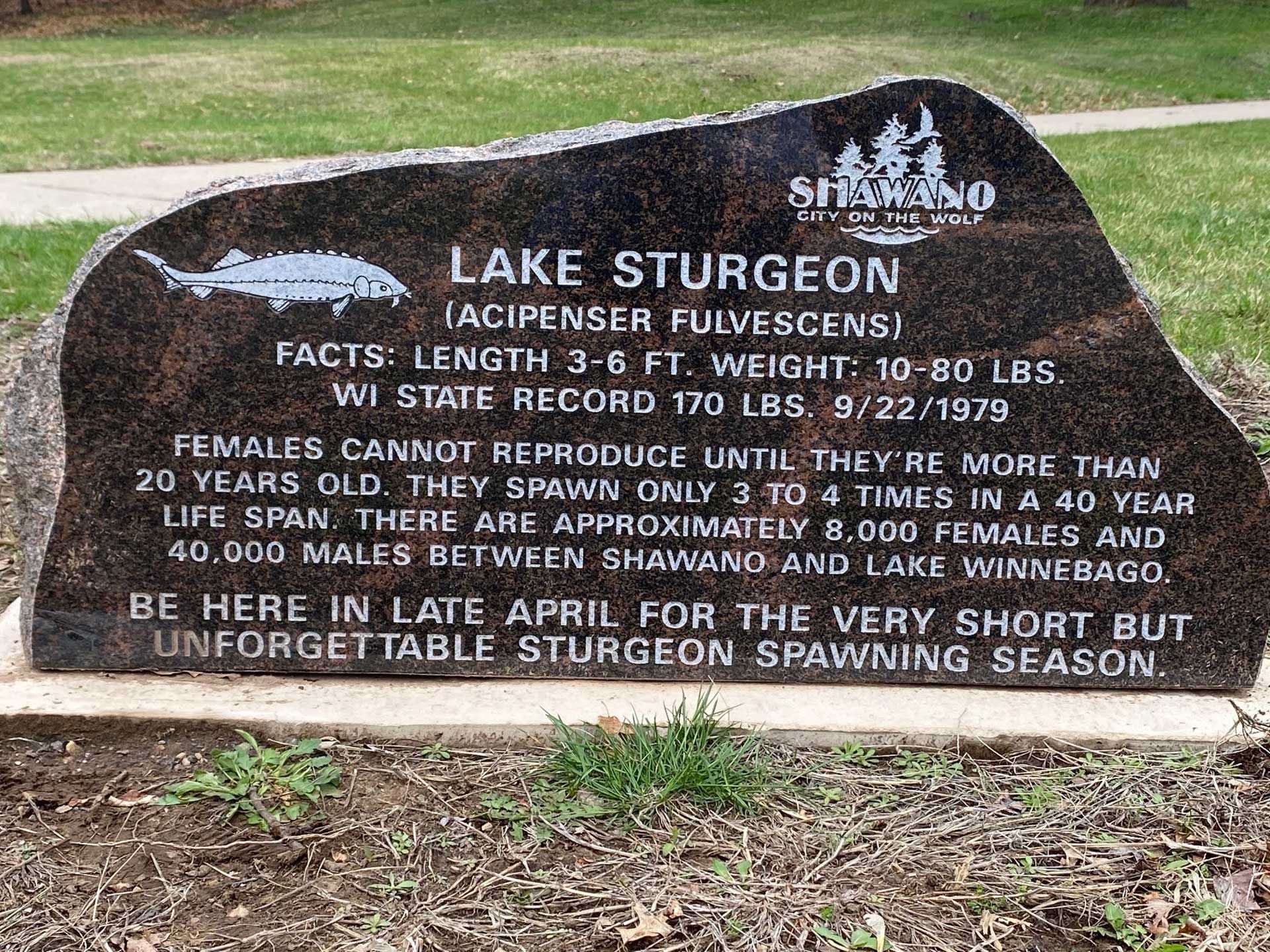 A large rock specialty marker