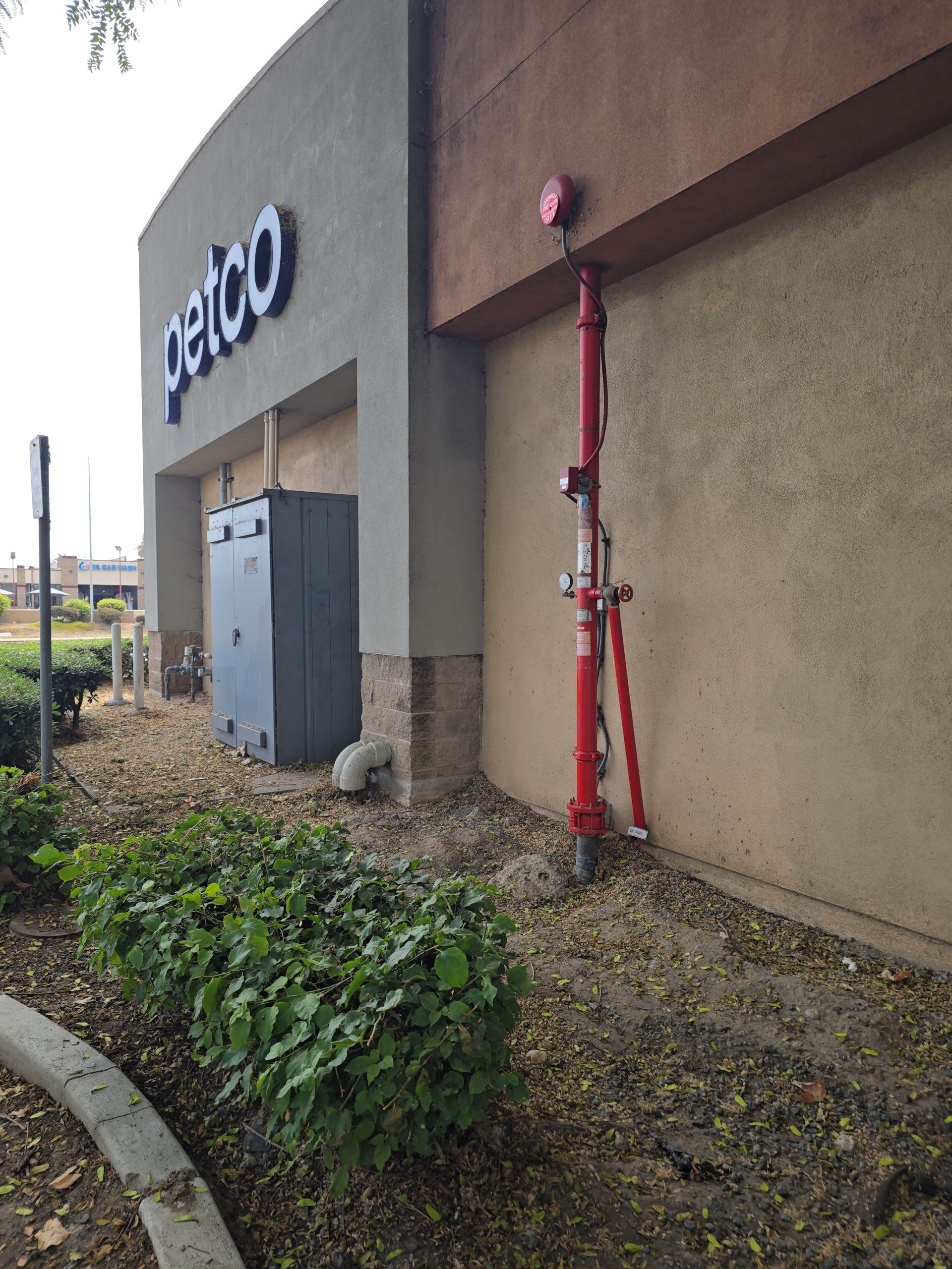 Exterior of a building with a gray utility door, red fire standpipe, and landscaped shrubs along the wall