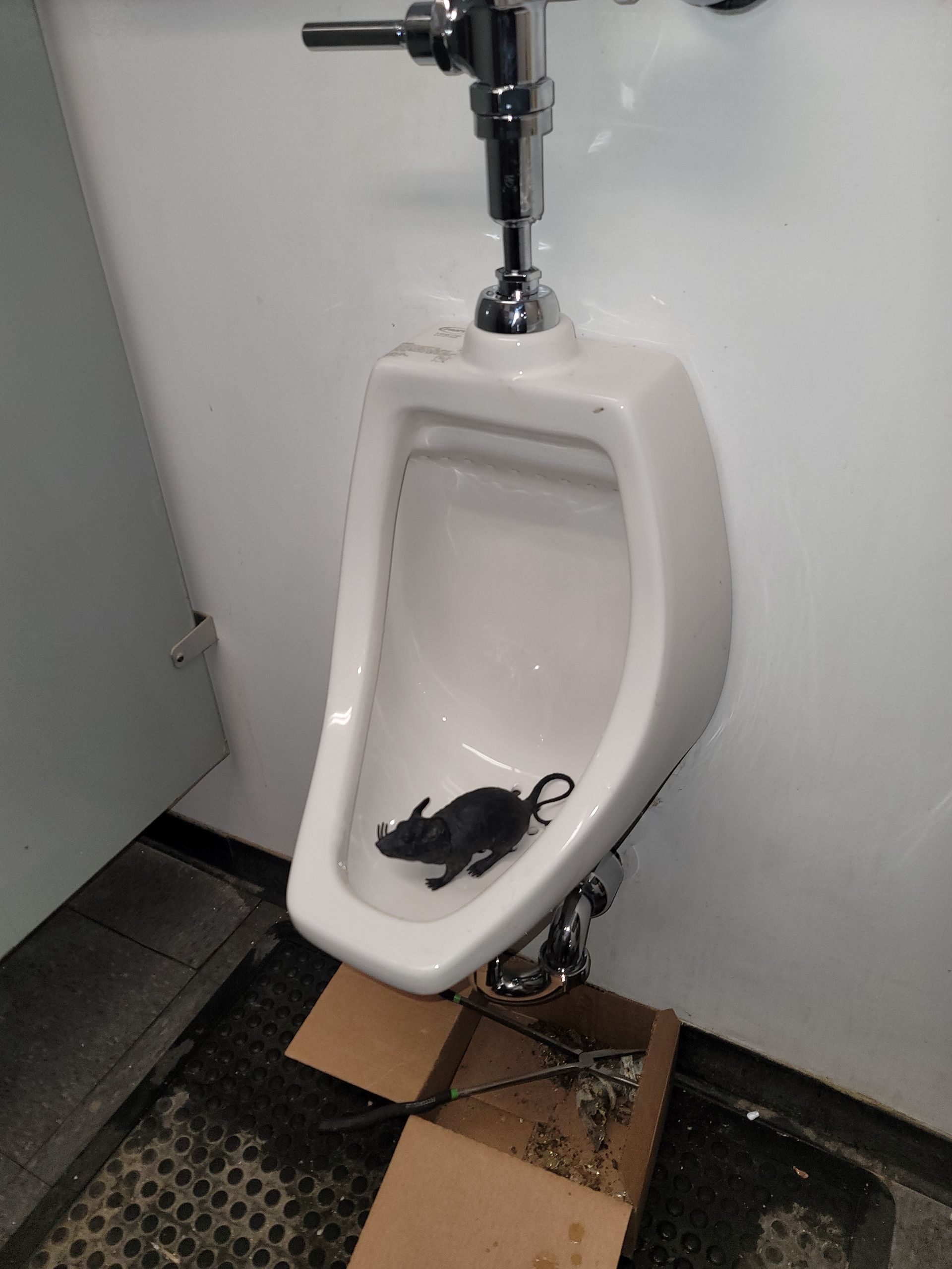 Wall-mounted urinal with a black object inside, in a restroom with a cardboard box underneath.