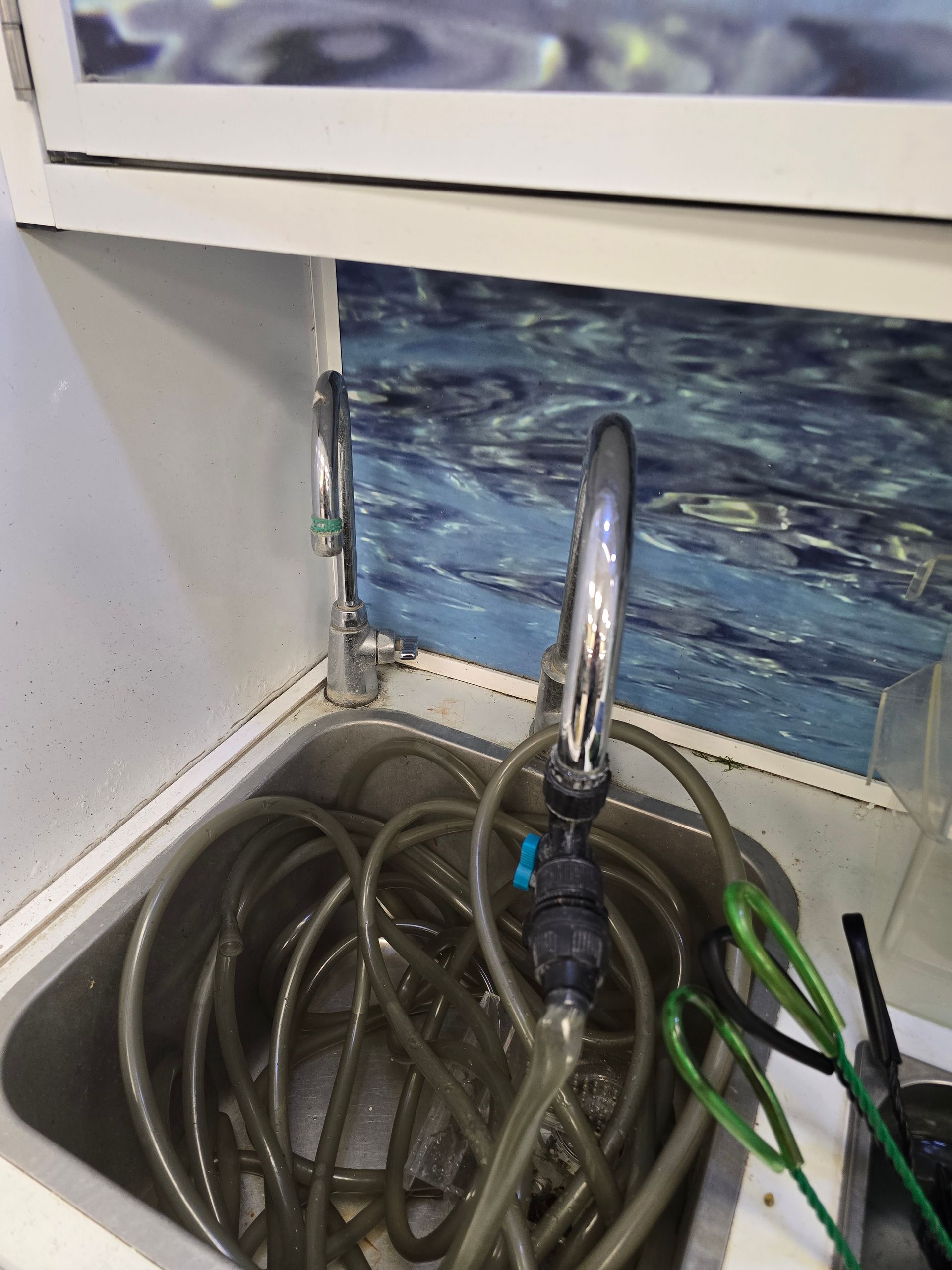 Coiled garden hose with nozzle stored in a cabinet, with a blue patterned backing.