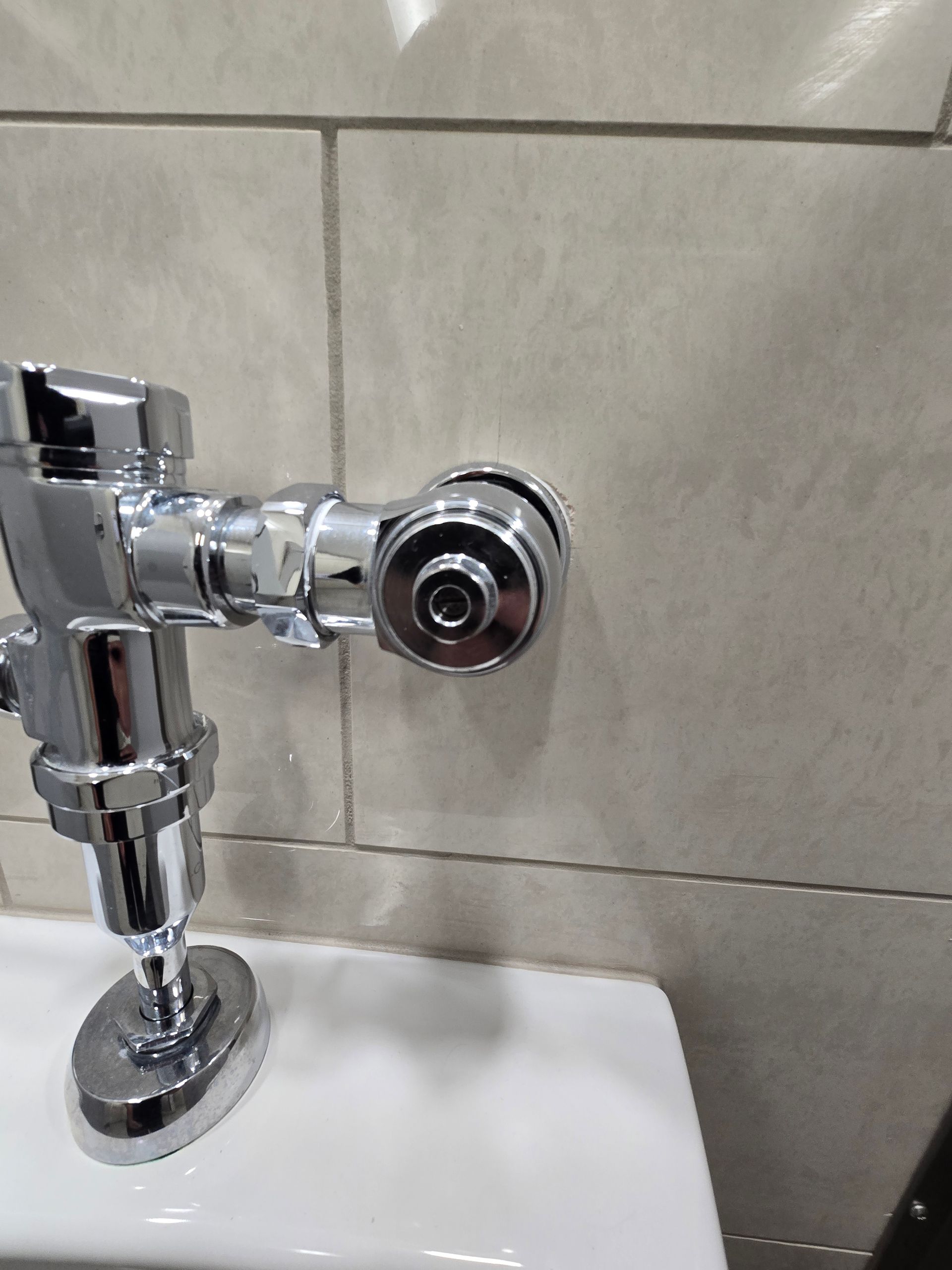 Chrome flush valve on a toilet in a tiled restroom