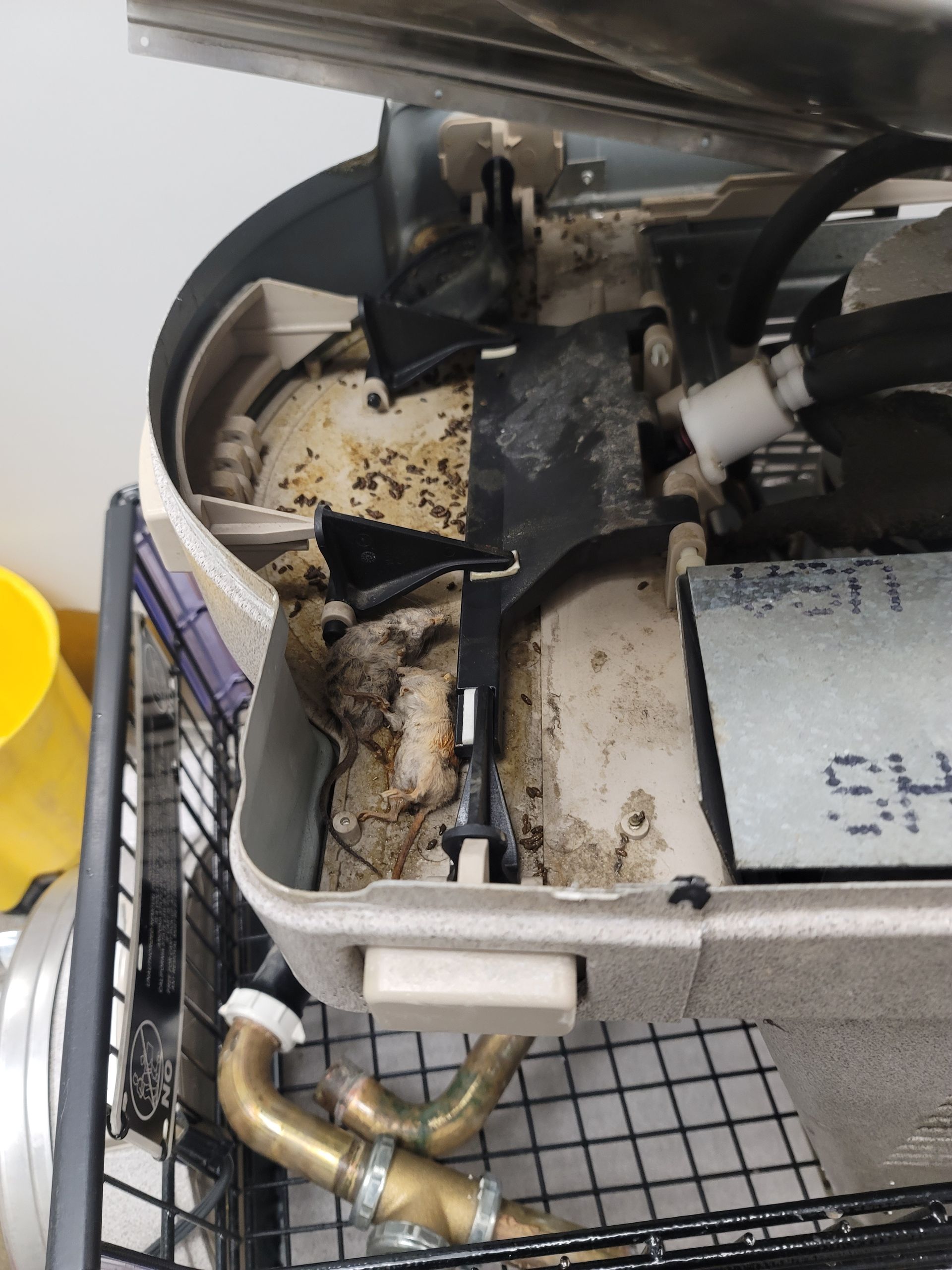 Close-up of a dirty open machine compartment with exposed wiring, hoses, and debris