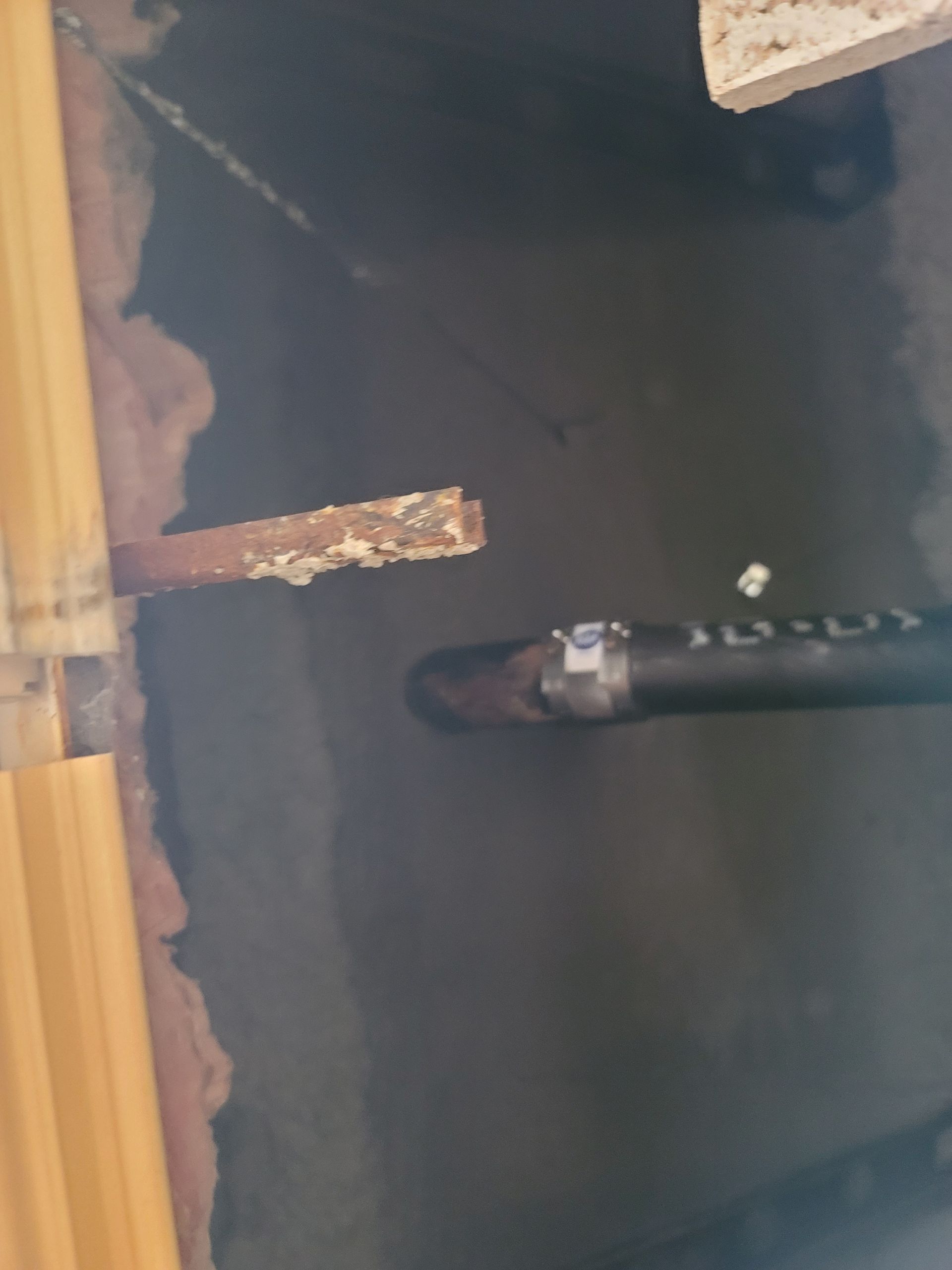 Close-up of a dark fish in murky water near a wooden dock or pier.