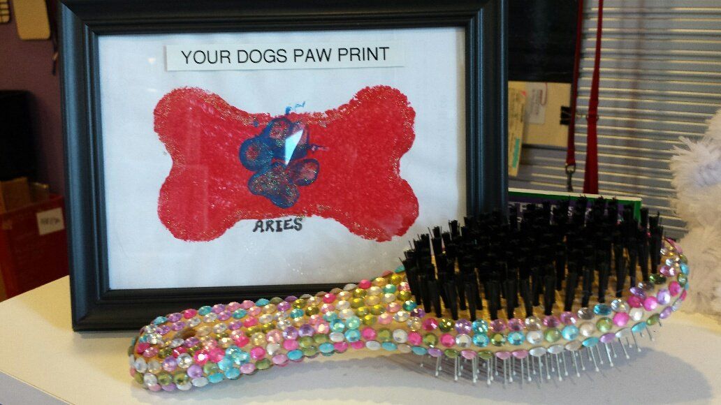 Dog paw print