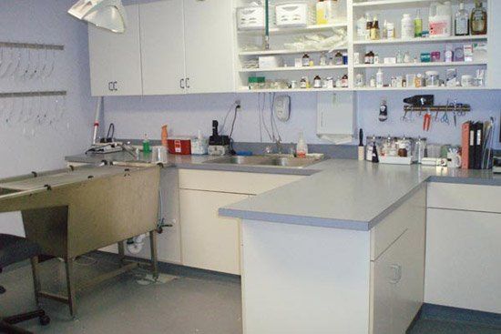 A kitchen with white cabinets and a sink