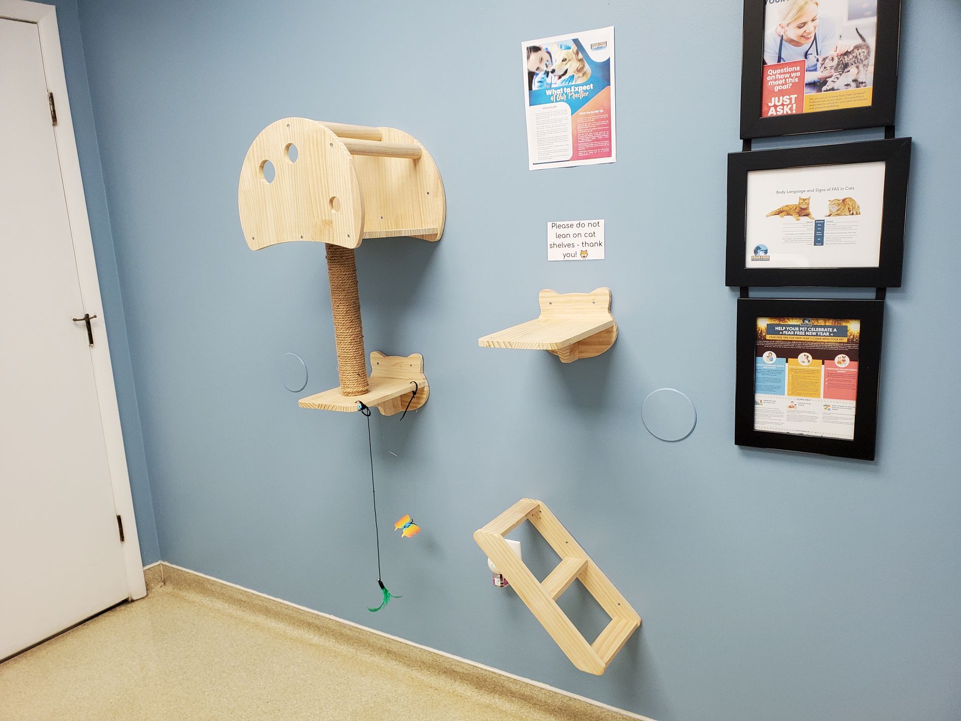 A room with a cat tree on the wall and pictures on the wall.