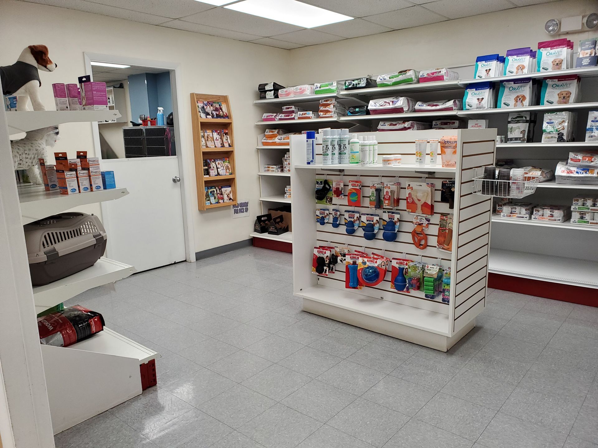 A dog is sitting on a shelf in a pet store.