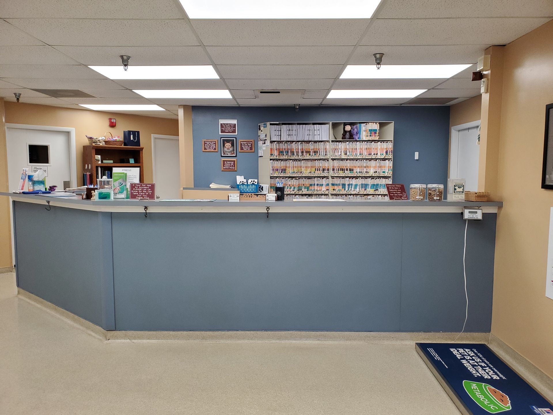 The front desk of a veterinary clinic with a blue counter