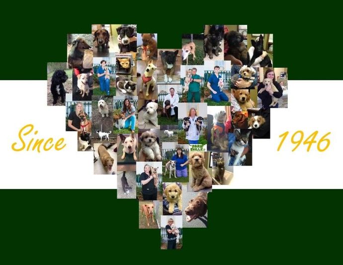 A collage of pictures of dogs and people in the shape of a heart